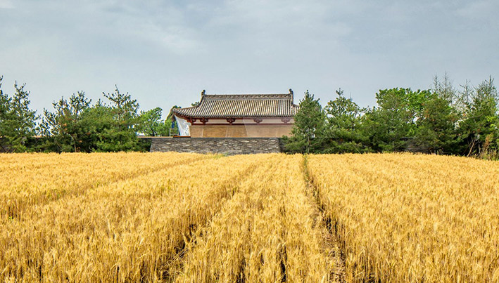 五龙庙